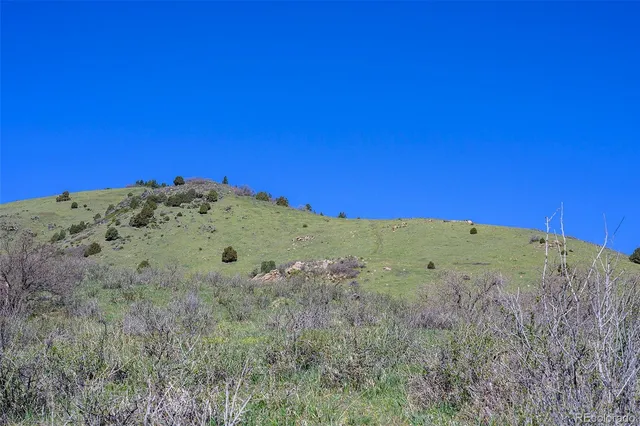 a view of a big yard