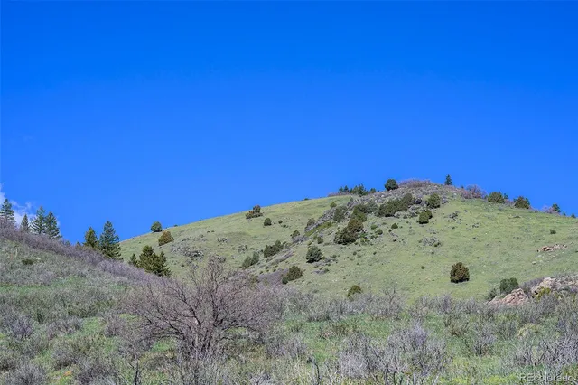 a view of a large tree with outside space