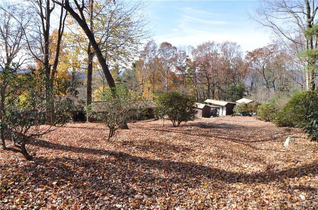 137 Phillips Gap Road Purlear, NC 28665 - Photo 13 of 14