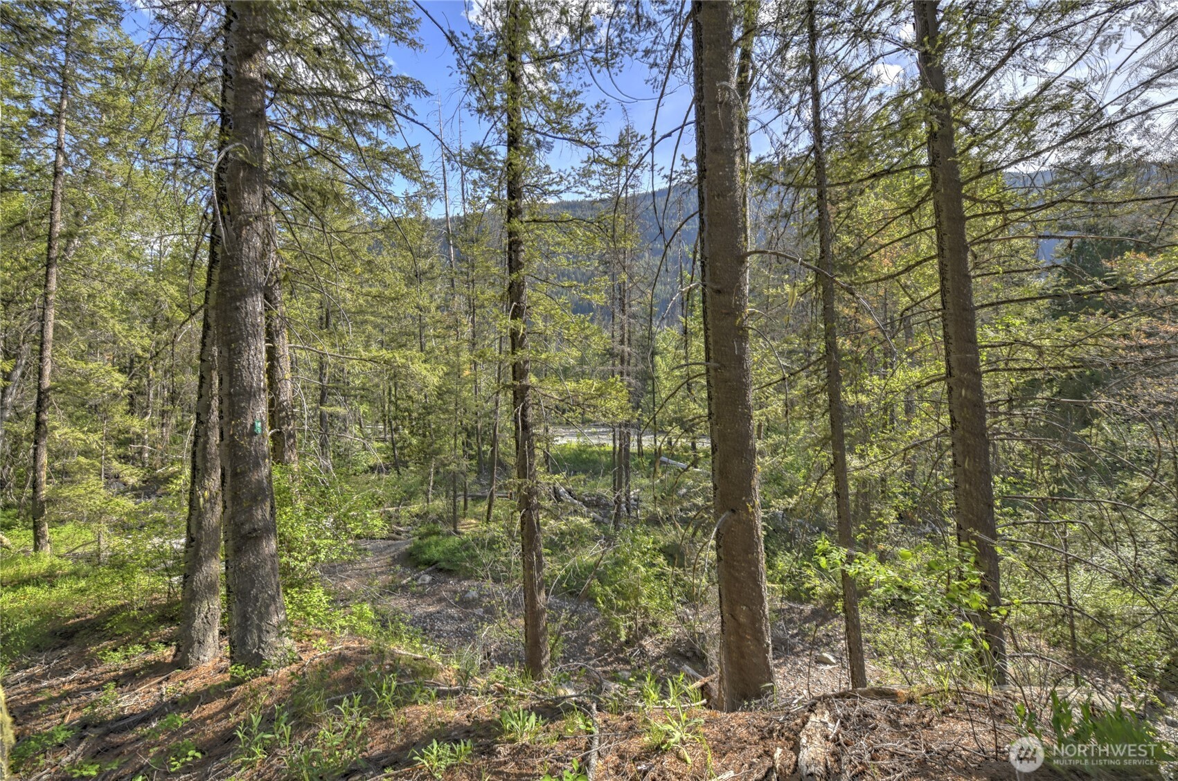 19 A And B Two Rivers Road Mazama, WA 98833 - Photo 33 of 40