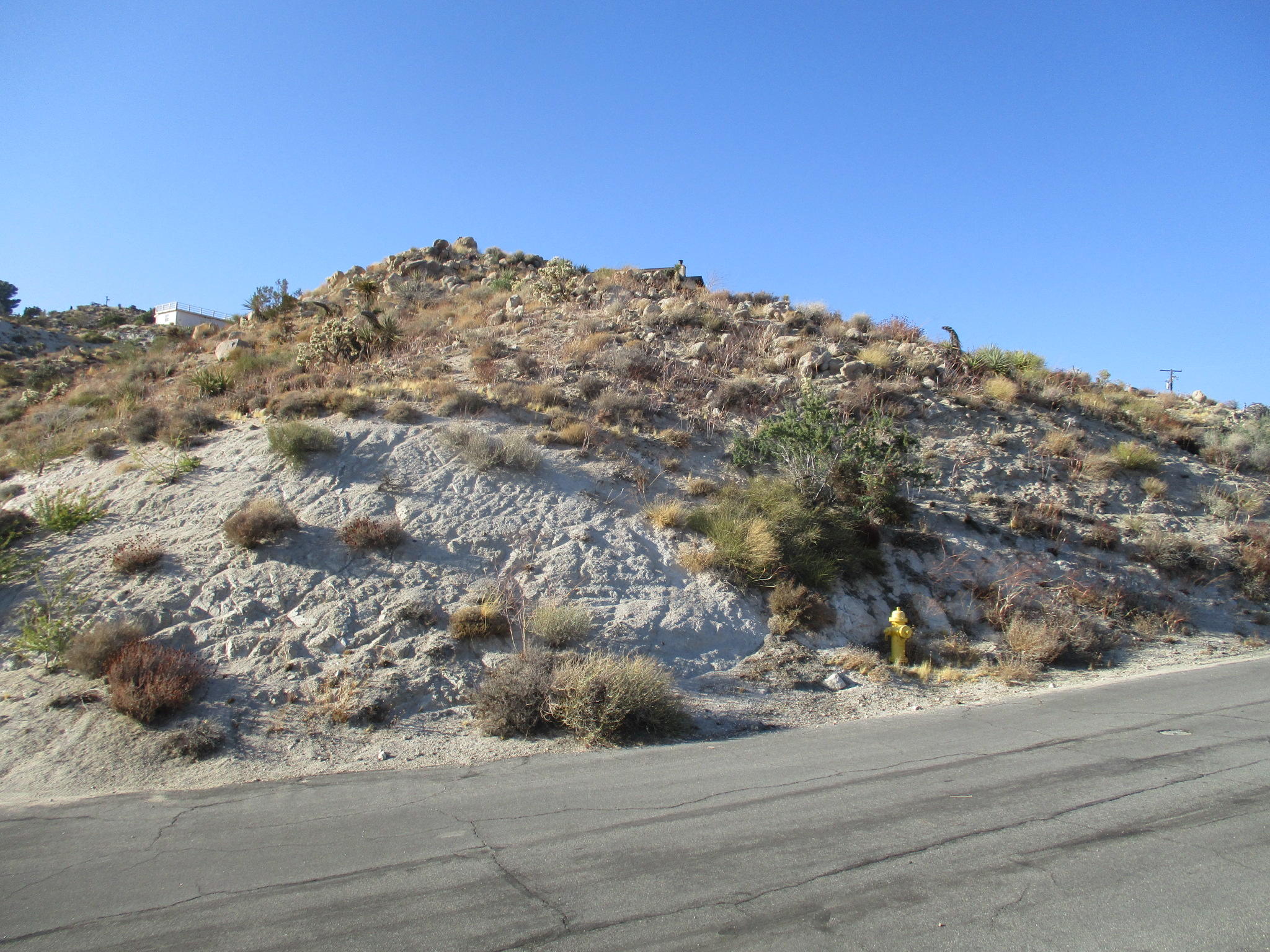 213 Mandarin Road Yucca Valley, CA 92284 - Photo 14 of 21 IMG_8332