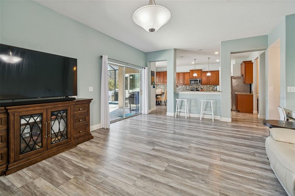 3620 Lefays Point Land O Lakes, FL 34638 - Photo 12 of 50 a living room with furniture and a flat screen tv