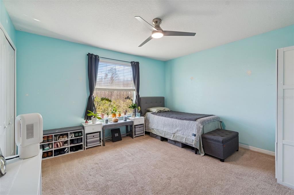 3620 Lefays Point Land O Lakes, FL 34638 - Photo 31 of 50 a bedroom with furniture and a window