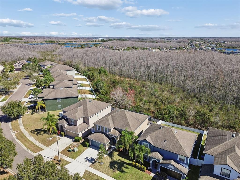 3620 Lefays Point Land O Lakes, FL 34638 - Photo 41 of 50 an aerial view of a house with yard and ocean view