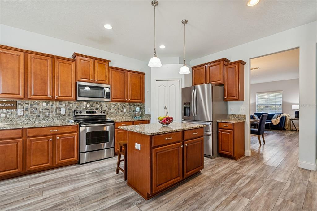 3620 Lefays Point Land O Lakes, FL 34638 - Photo 8 of 50 a kitchen with stainless steel appliances granite countertop a stove top oven a refrigerator a sink and dishwasher with wooden floor