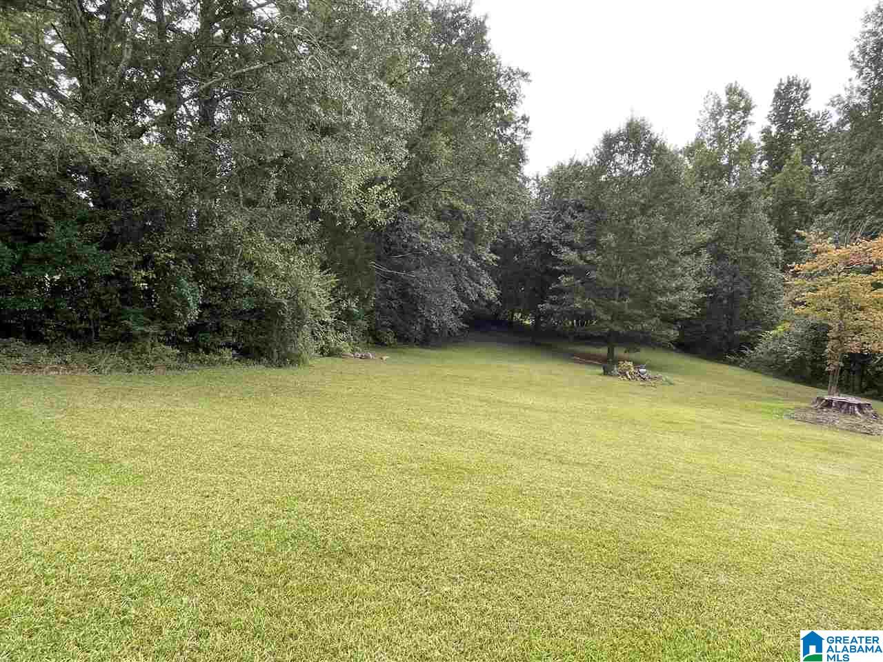 200 Mae Street Clanton, AL 35045 - Photo 9 of 34
