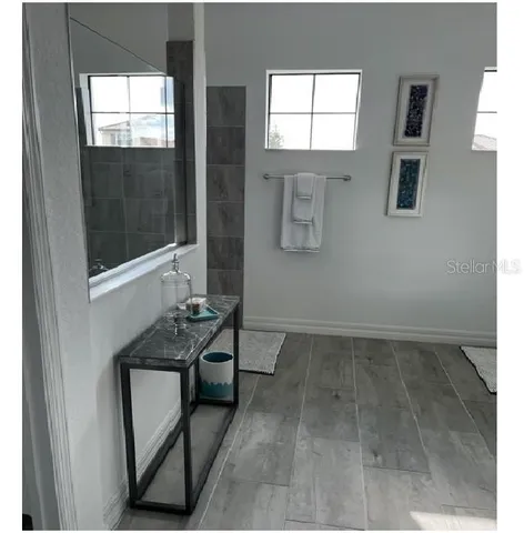 a bathroom with a sink a mirror and a shower