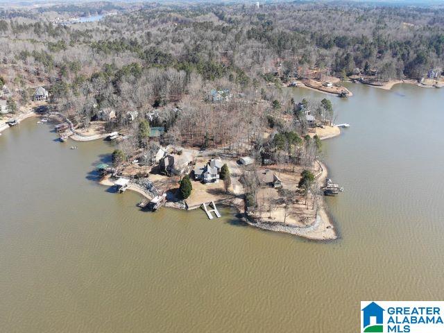 386 Lakeview Circle Alpine, AL 35014 - Photo 44 of 48