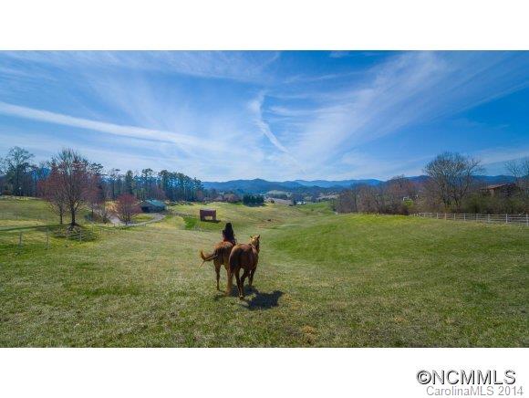 70 Gibbs Road Leicester, NC 28748 - Photo 4 of 24 Gallery Image 4