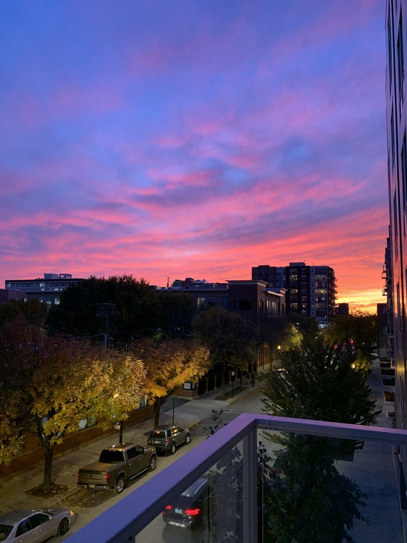 1100 West Adams Street, Unit 3S Chicago, IL 60607 - Photo 26 of 28