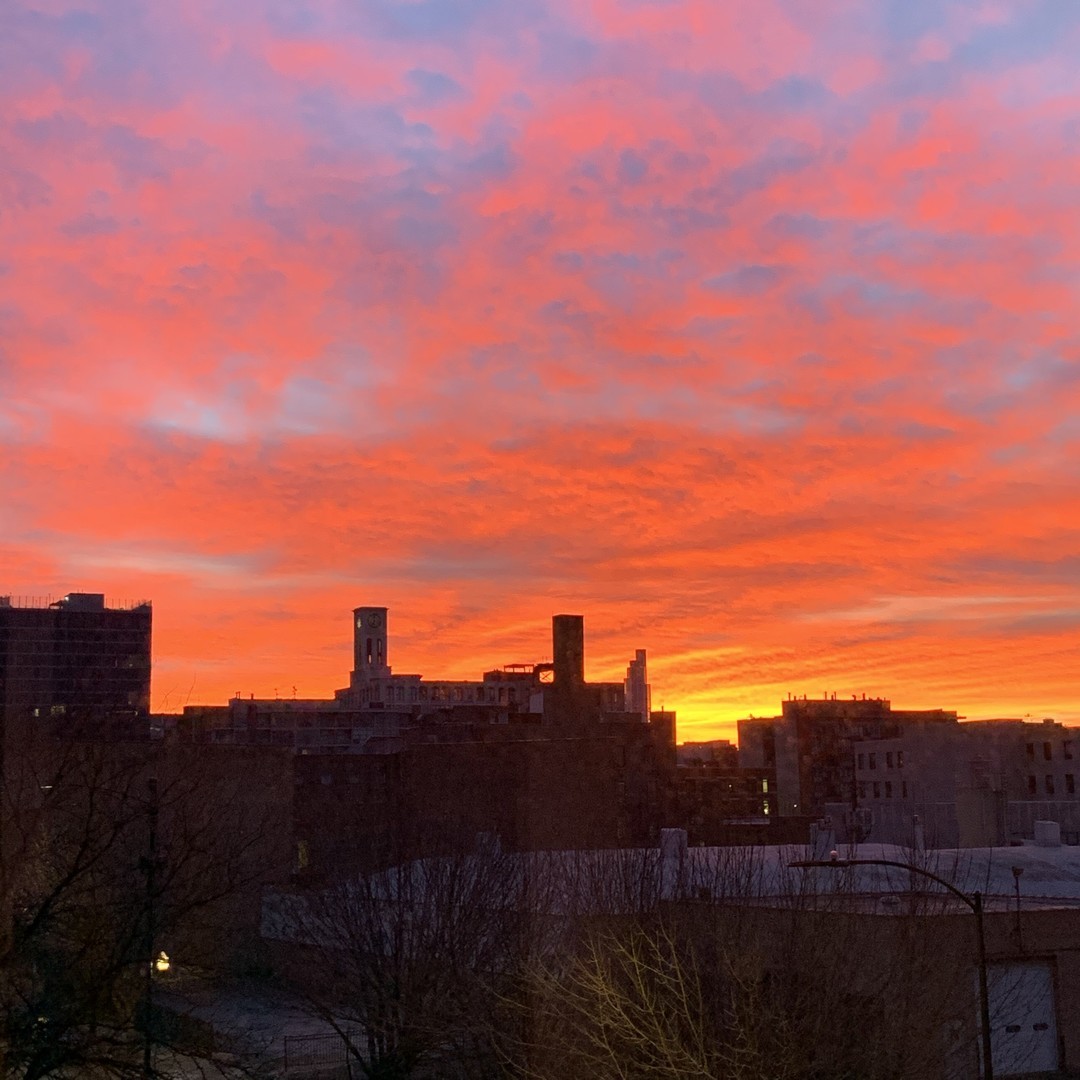 1100 West Adams Street, Unit 3S Chicago, IL 60607 - Photo 27 of 28