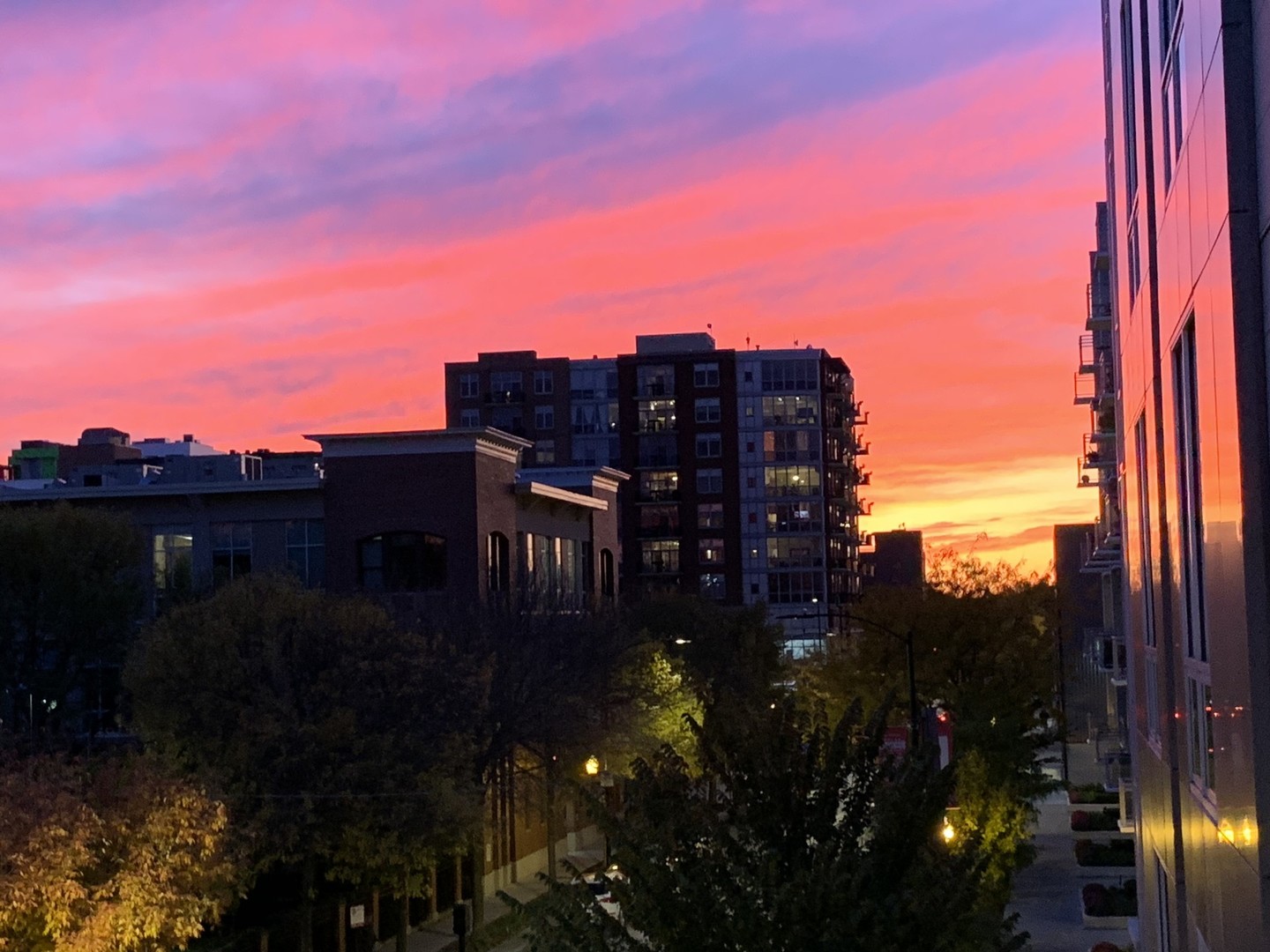 1100 West Adams Street, Unit 3S Chicago, IL 60607 - Photo 28 of 28