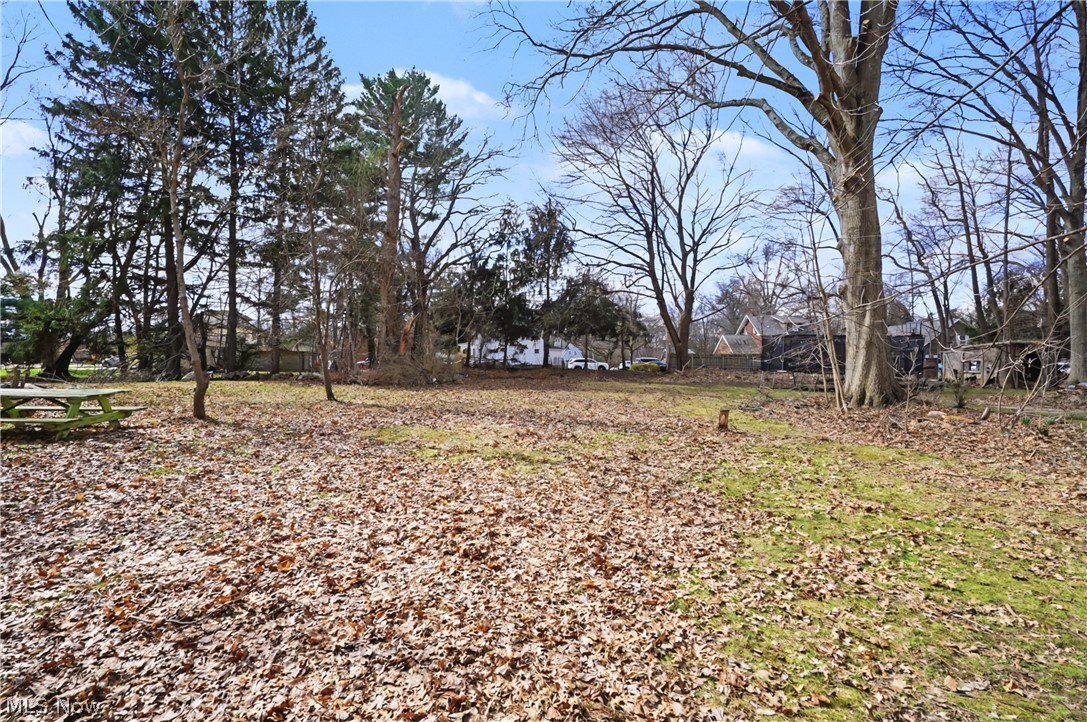 3564 Williamson Road Stow, OH 44224 - Photo 23 of 25 View of yard