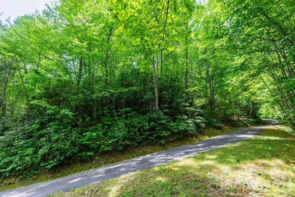$24,000 | 46 Widgeon Way, Whittier, NC 28789
