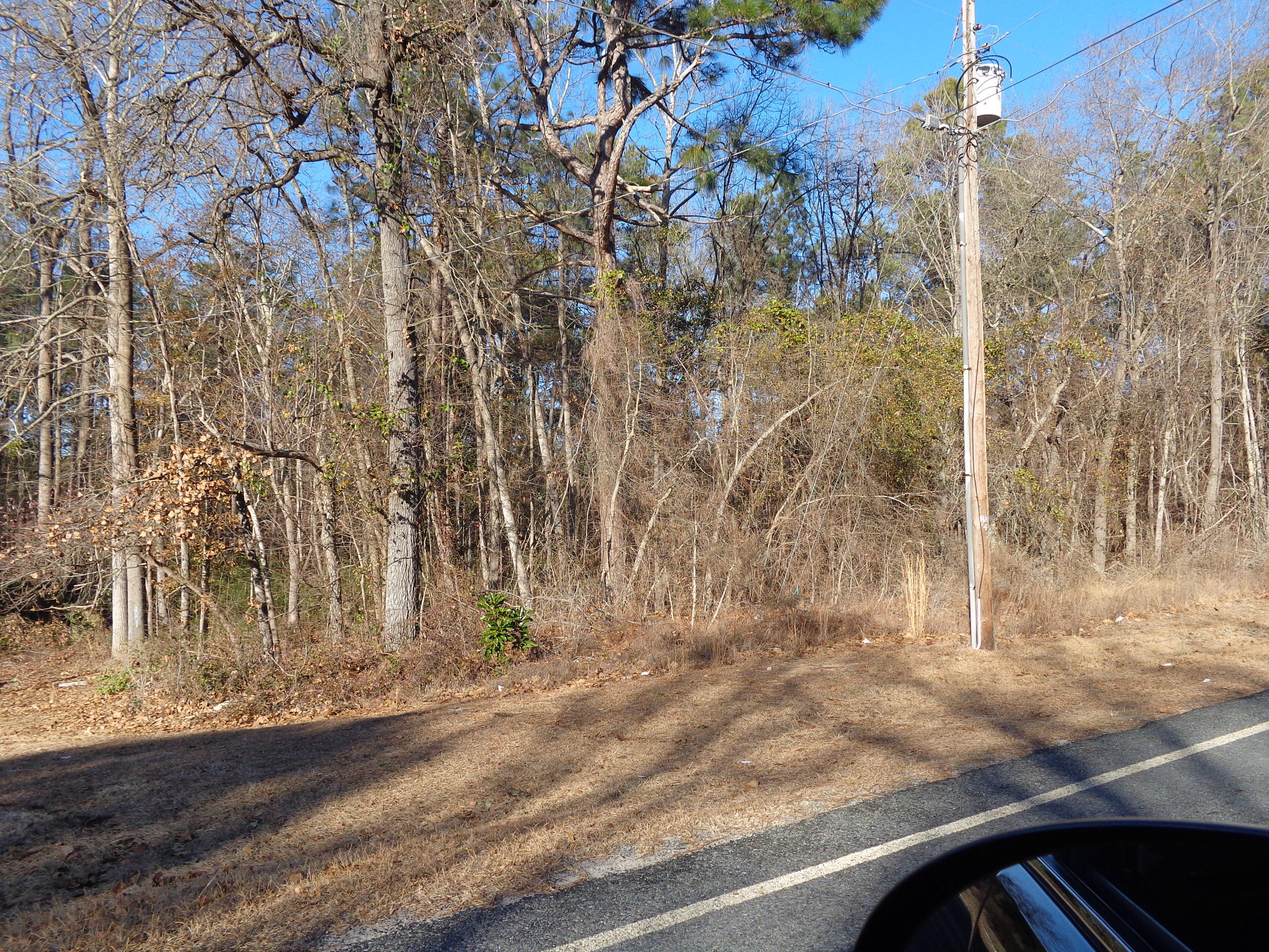 Tbd Maner Road Rockingham, NC 28379 - Photo 1 of 3 From road