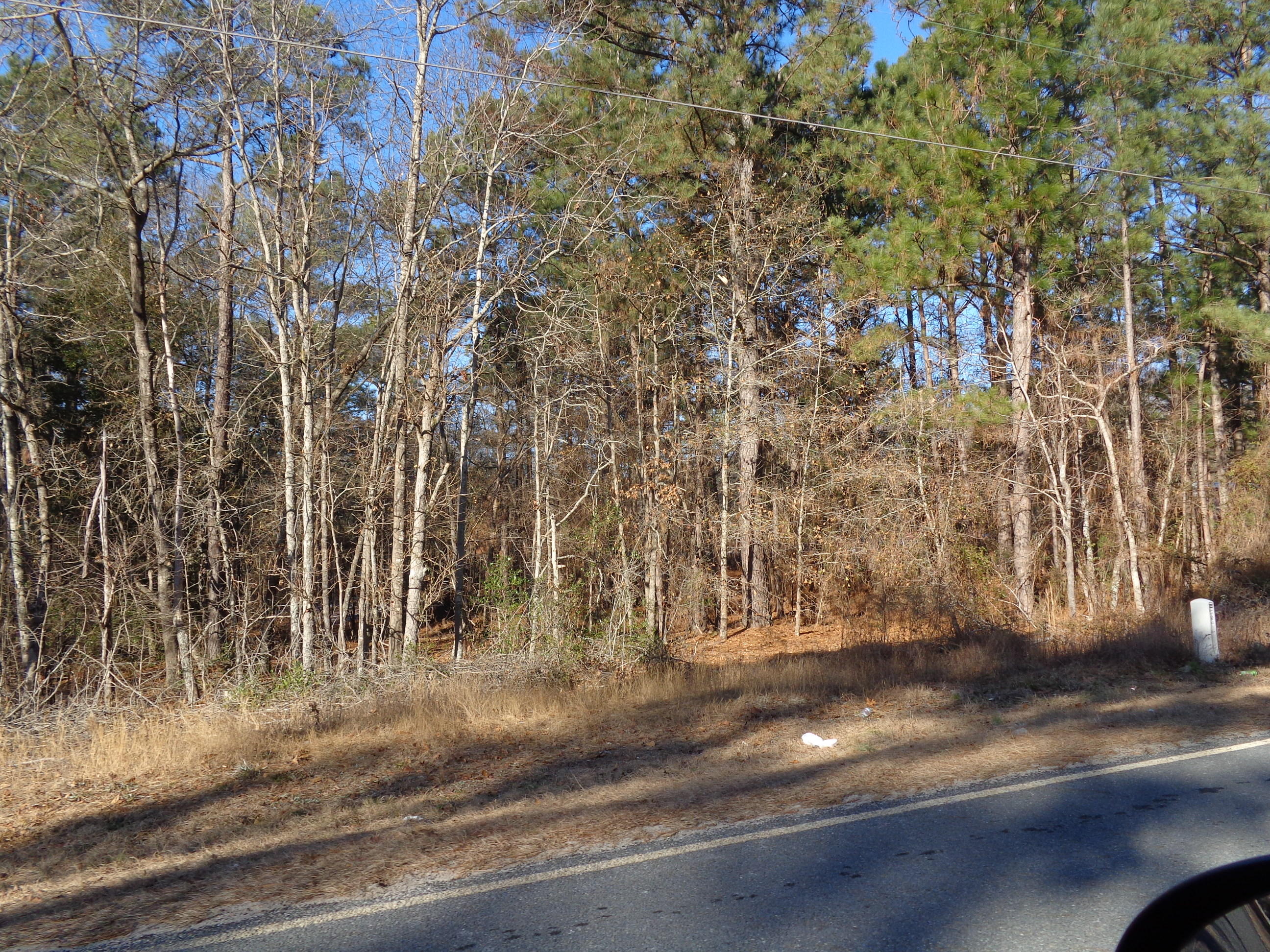Tbd Maner Road Rockingham, NC 28379 - Photo 2 of 3 DSC02868