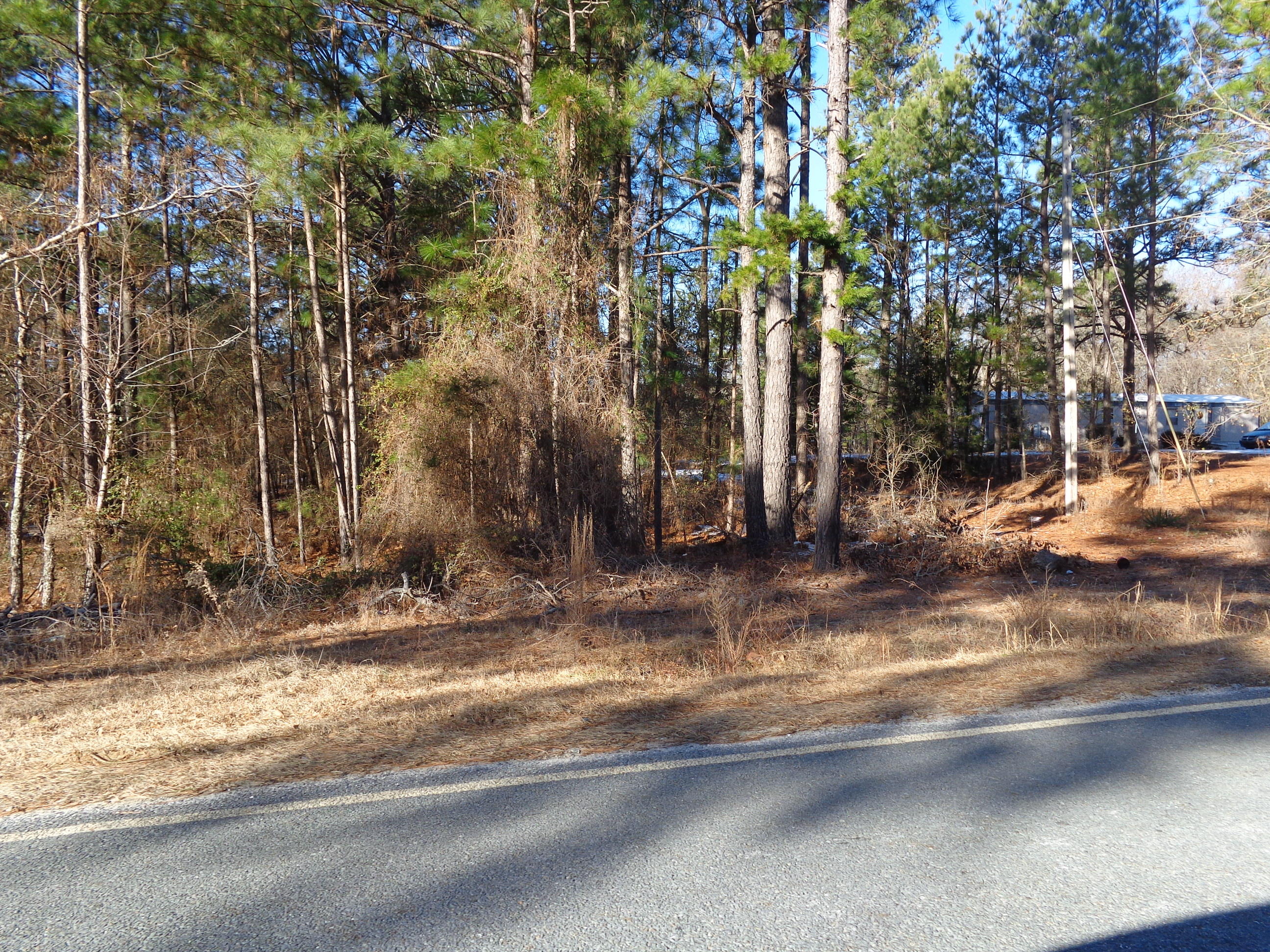 Tbd Maner Road Rockingham, NC 28379 - Photo 3 of 3 DSC02869
