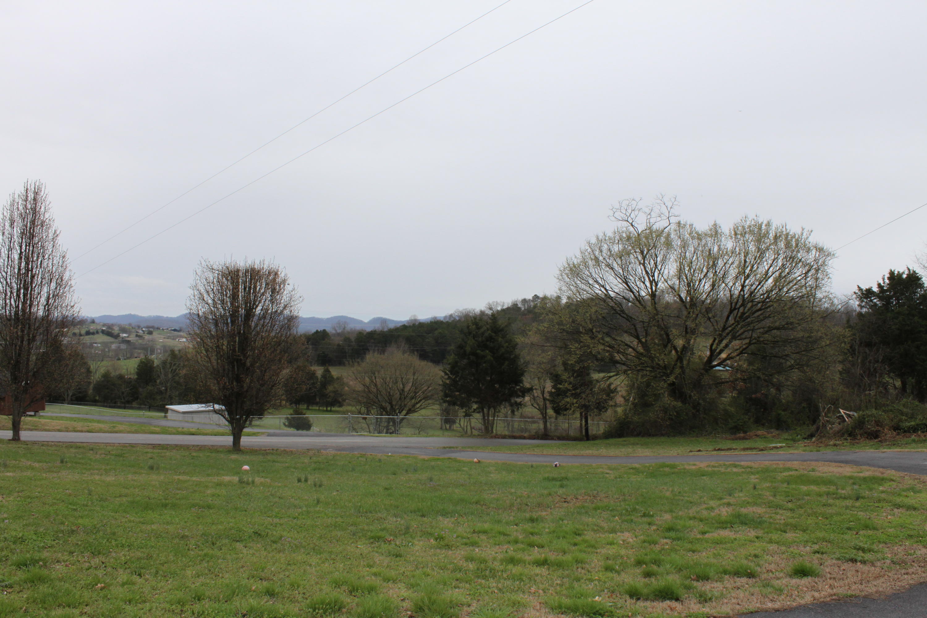 1472 Hodgetown Road Rutledge, TN 37861 - Photo 5 of 10 IMG_0516