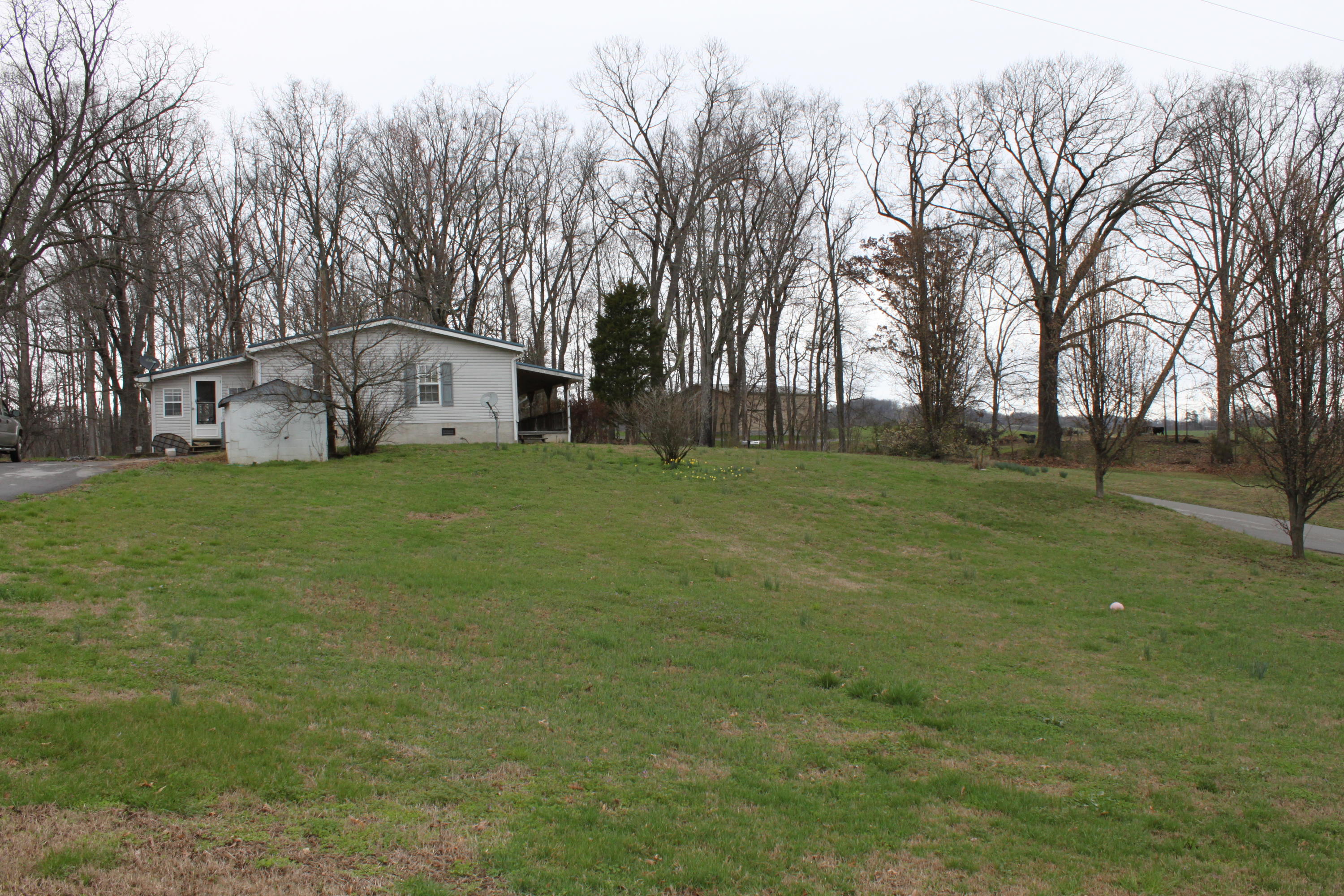 1472 Hodgetown Road Rutledge, TN 37861 - Photo 6 of 10 IMG_0517