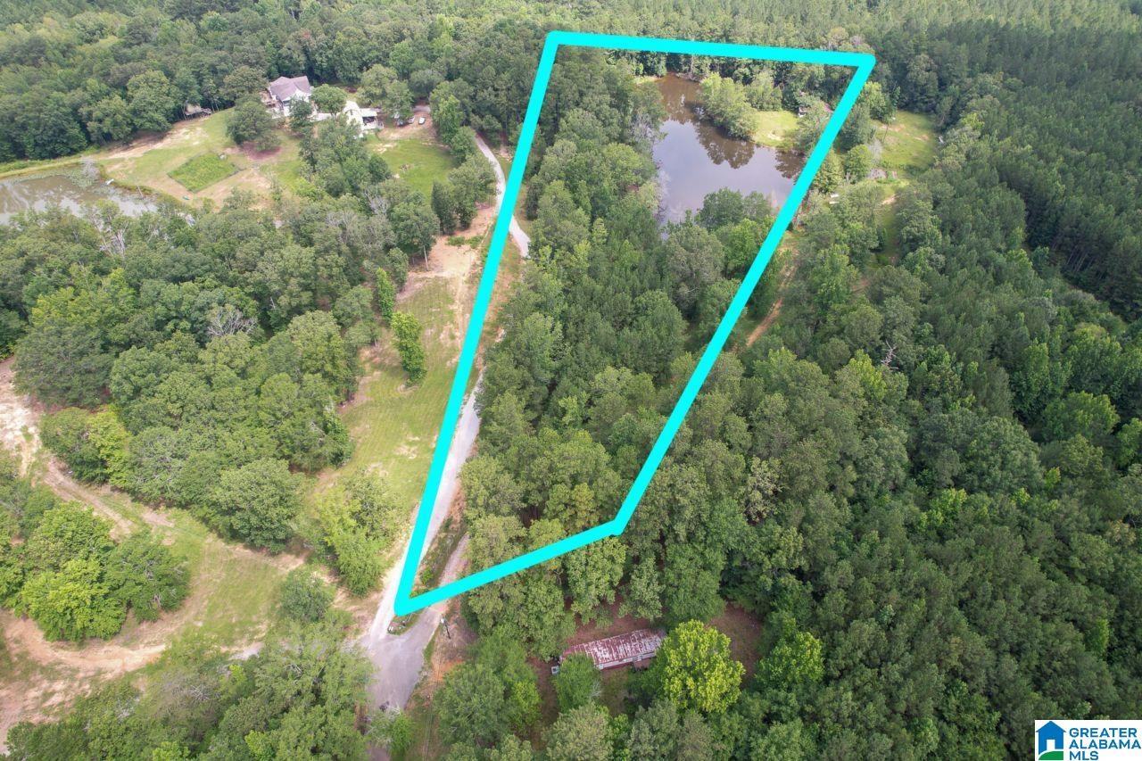 9 Acres, Unit 9 Sterrett, AL 35147 - Photo 5 of 8