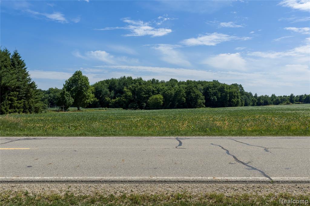 0 Applegate Road Sandusky, MI 48471 - Photo 3 of 15