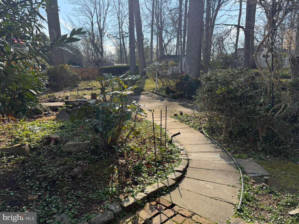 1268 Rydal Road Jenkintown, PA 19046 - Photo 52 of 59 a view of a yard with plants