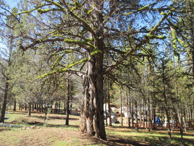 Lot 2 Partin Drive Beatty, OR 97621 - Photo 8 of 11 IMG_0006