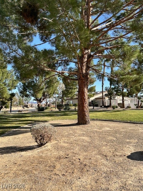 1620 Coal Valley Drive Henderson, NV 89014 - Photo 27 of 31 Park