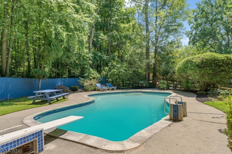 954 Iron Bridge Road Hampton, NJ 08827 - Photo 40 of 50