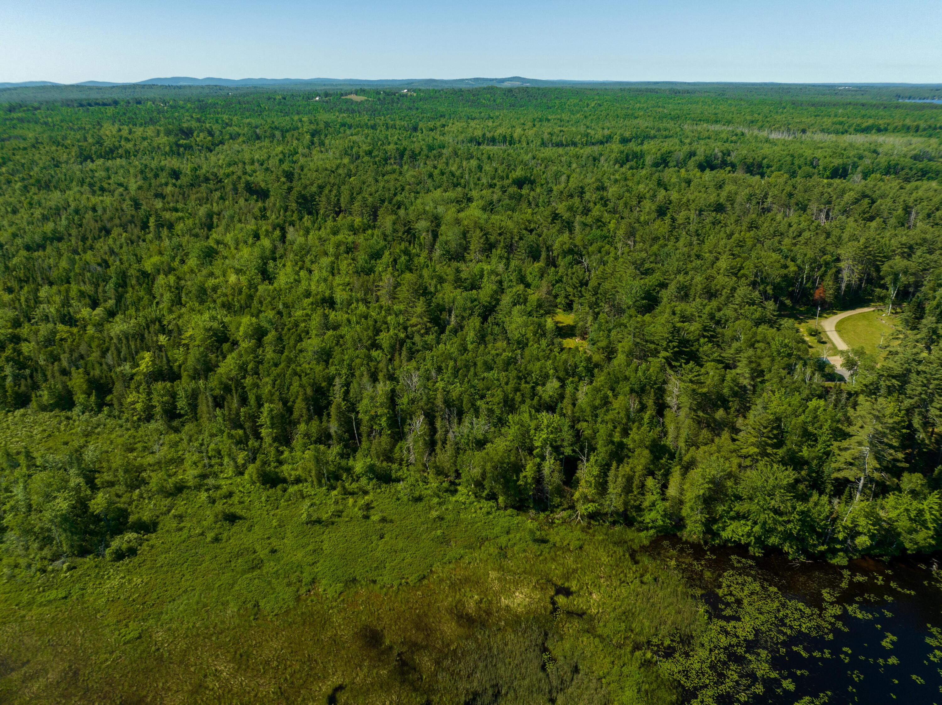 185 Durham Bridge Road Newport, ME 04953 - Photo 79 of 116 Some wetlands...