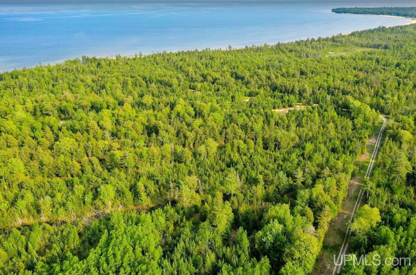 Tbd Co Rd 435 Common Manistique, MI 49854 - Photo 10 of 14
