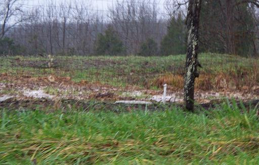 0 Taft Highway Dry Ridge, KY 40359 - Photo 7 of 20