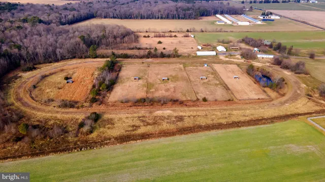 $1,350,000 | 6485 Epworth Church Road, Bridgeville, DE 19933