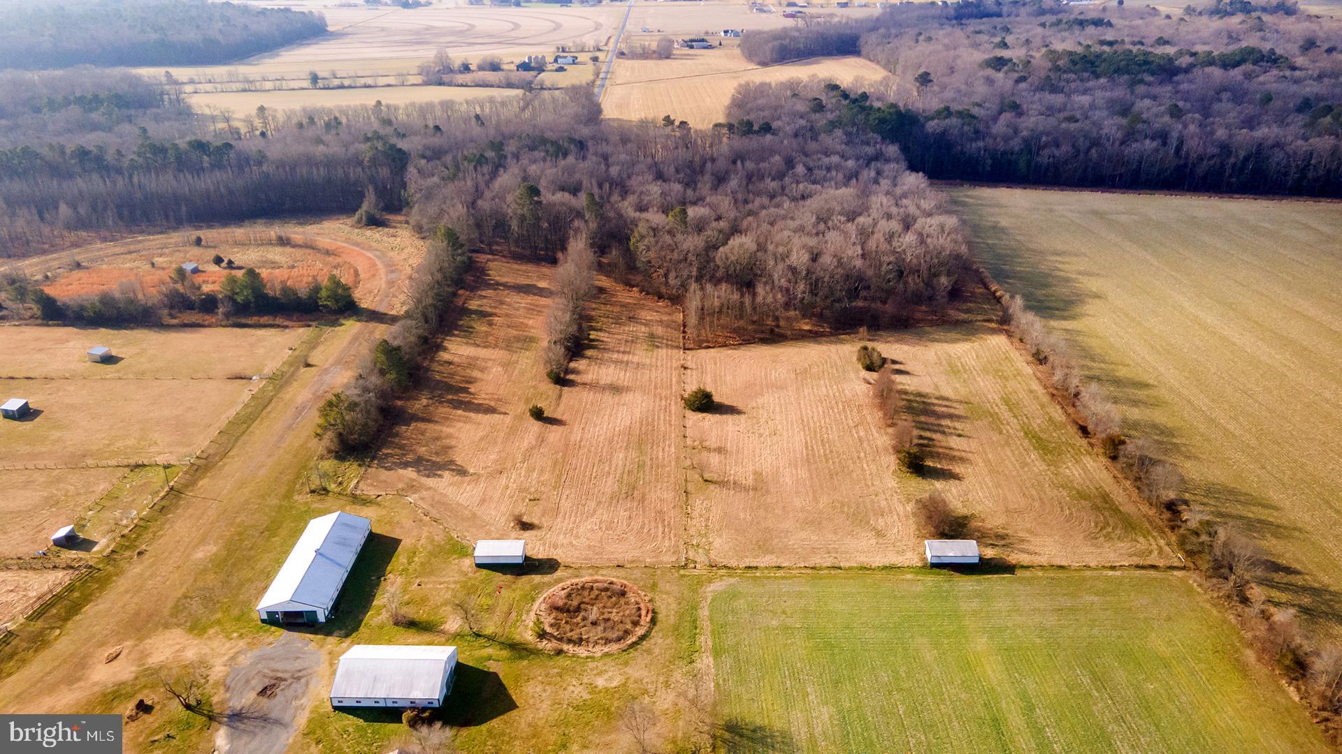 6485 Epworth Church Road Bridgeville, DE 19933 - Photo 30 of 68