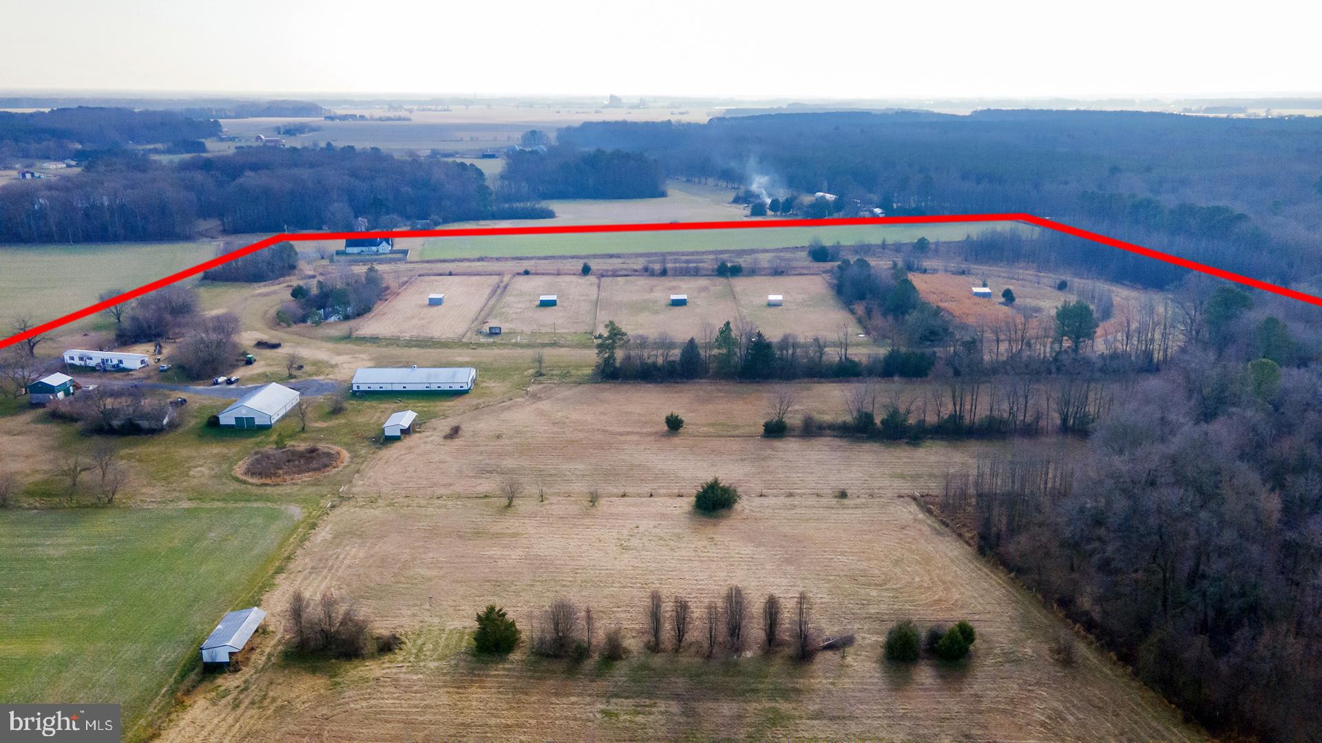 6485 Epworth Church Road Bridgeville, DE 19933 - Photo 32 of 68