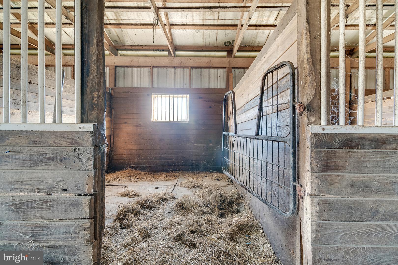 6485 Epworth Church Road Bridgeville, DE 19933 - Photo 5 of 68