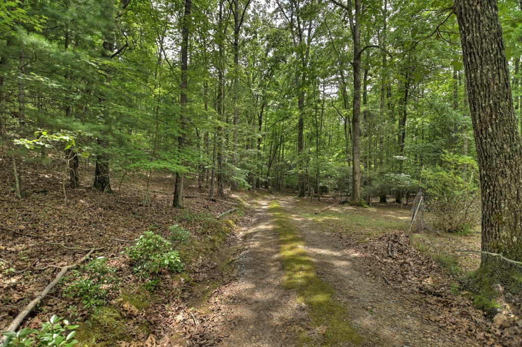214 Mull Valley Road Morganton, GA 30560 - Photo 10 of 37 Gallery Image 10