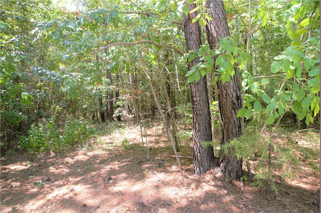 21 Talons Point Road Seneca, SC 29672 - Photo 11 of 21 Gallery Image 11
