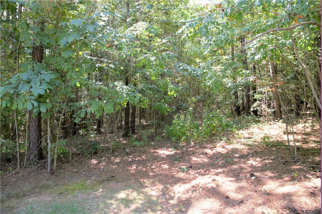 21 Talons Point Road Seneca, SC 29672 - Photo 12 of 21 Gallery Image 12