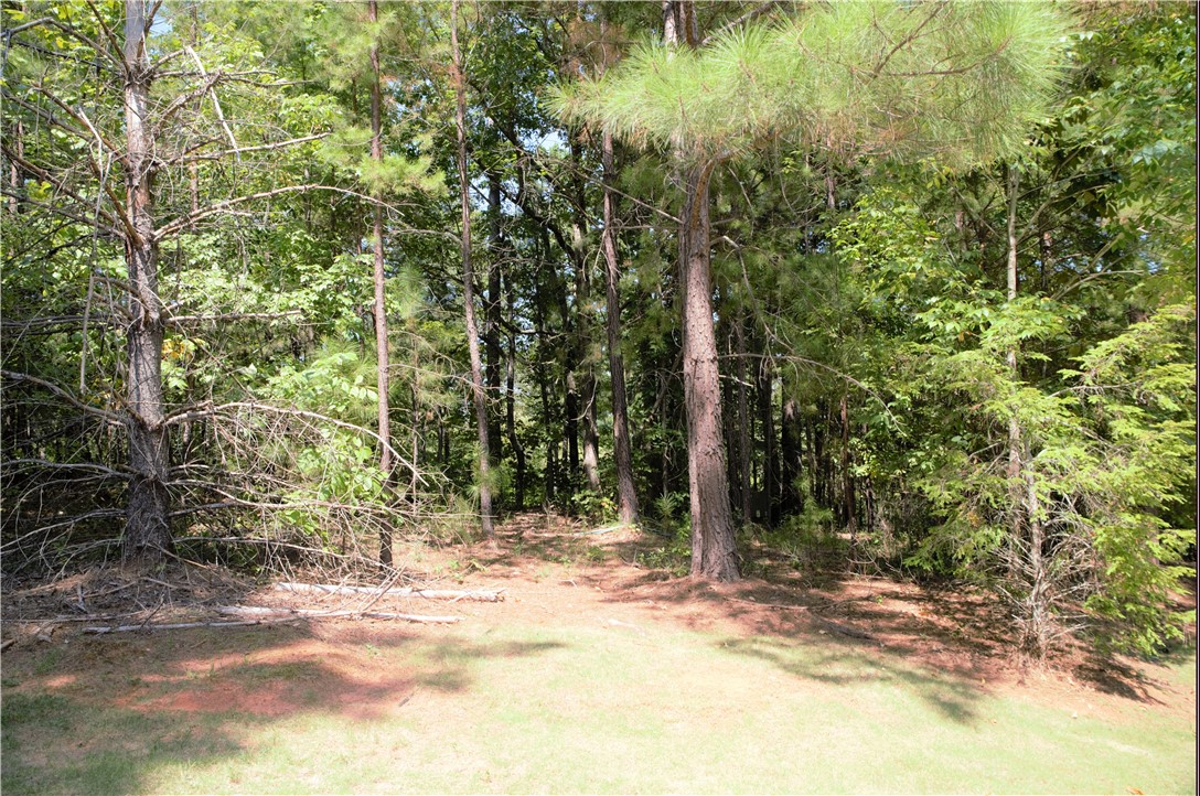 21 Talons Point Road Seneca, SC 29672 - Photo 13 of 21 Gallery Image 13