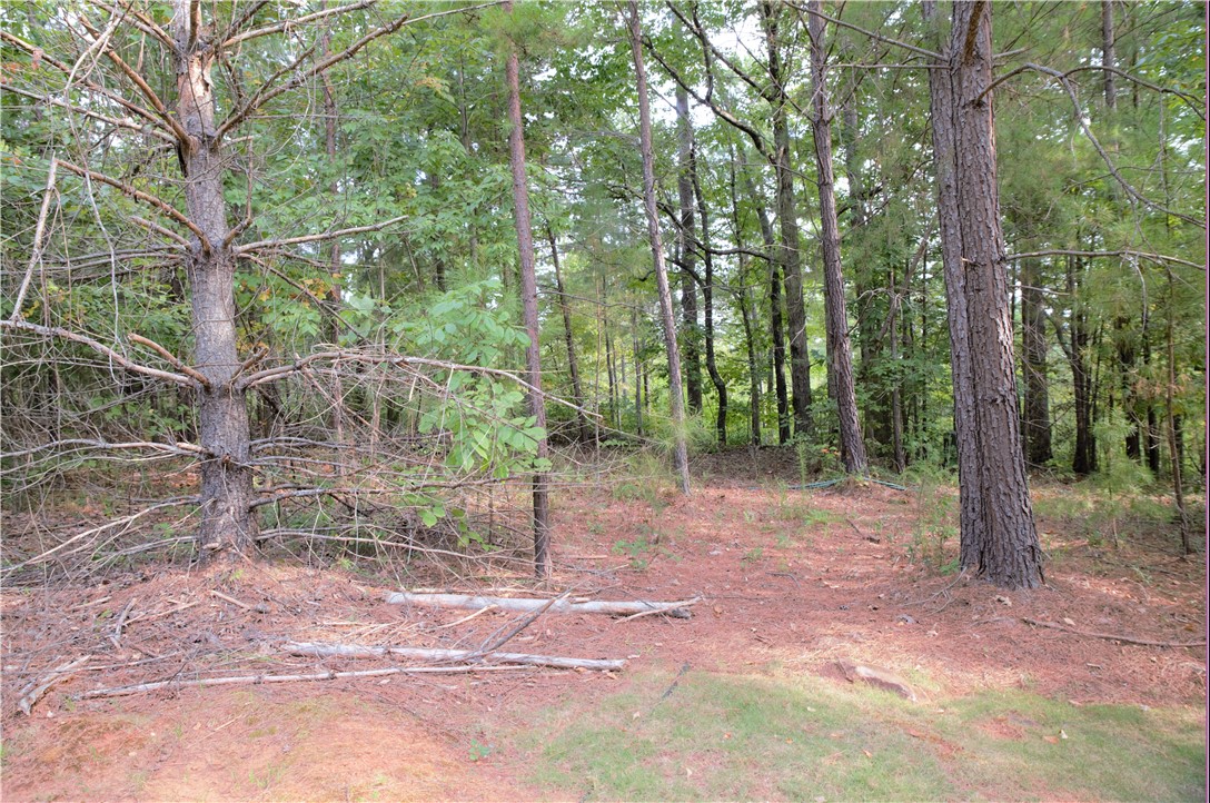 21 Talons Point Road Seneca, SC 29672 - Photo 14 of 21 Gallery Image 14