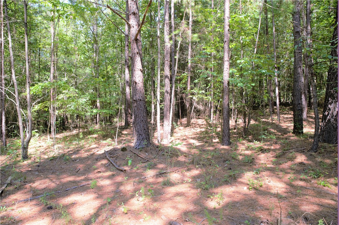 21 Talons Point Road Seneca, SC 29672 - Photo 8 of 21 Gallery Image 8