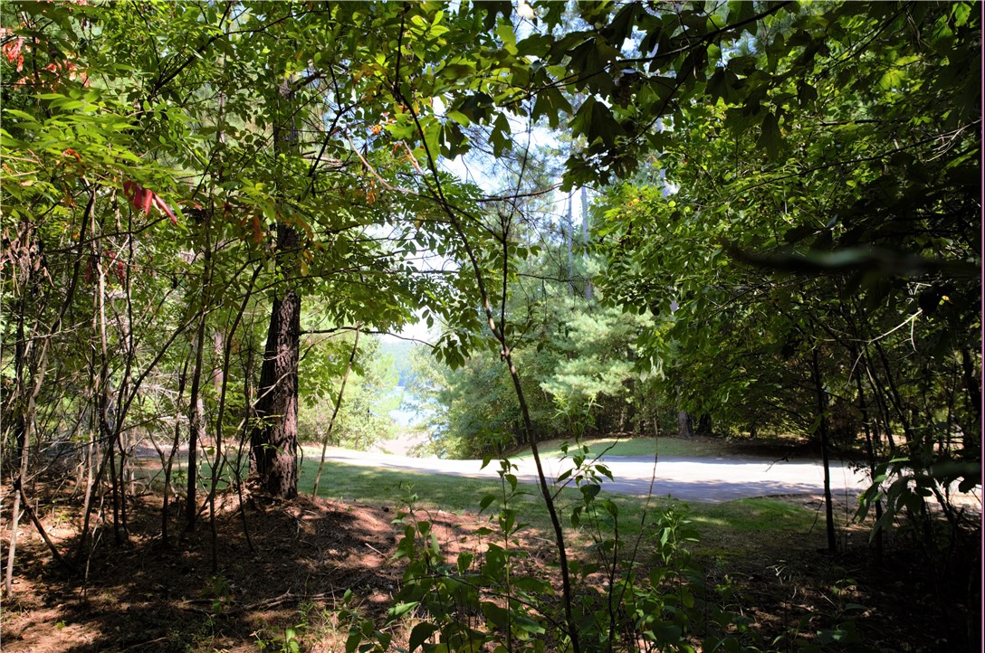 21 Talons Point Road Seneca, SC 29672 - Photo 9 of 21 Gallery Image 9