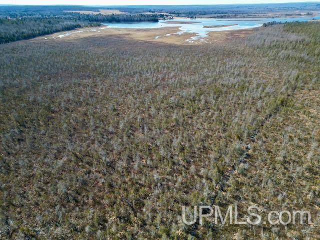 26347 Bootjack Road Lake Linden, MI 49945 - Photo 36 of 58