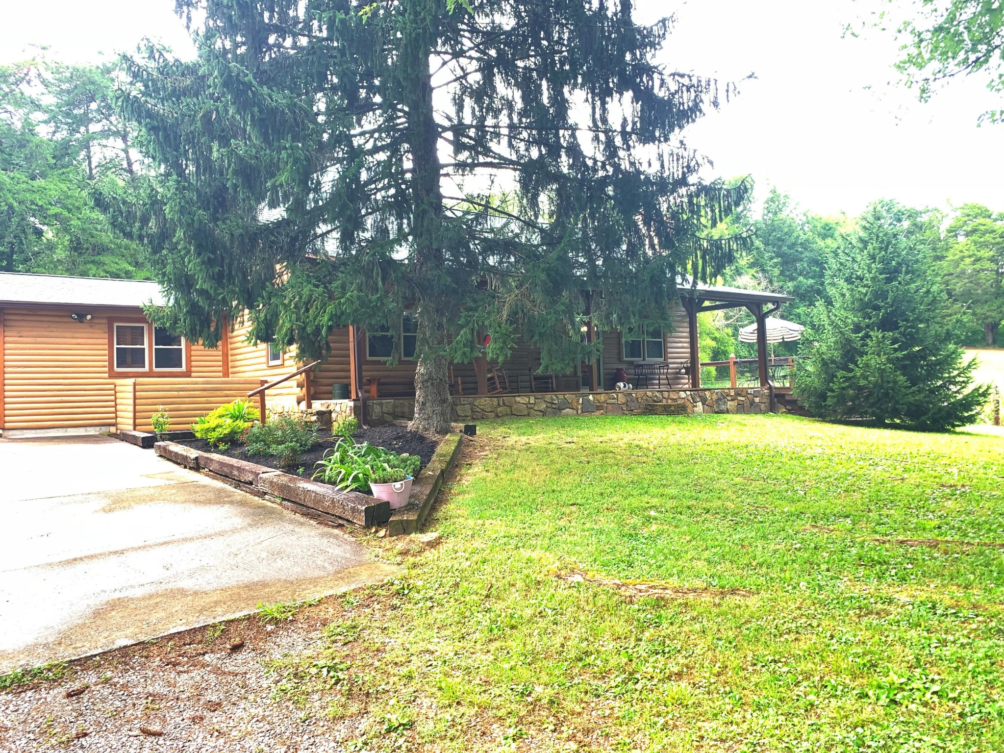 10017 Rutledge Pike Corryton, TN 37721 - Photo 2 of 38 a view of a backyard with a garden and plants