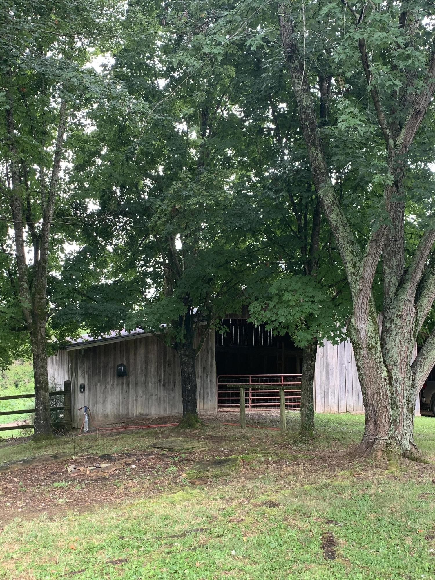 10017 Rutledge Pike Corryton, TN 37721 - Photo 25 of 38 a backyard of a house with large trees and wooden fence