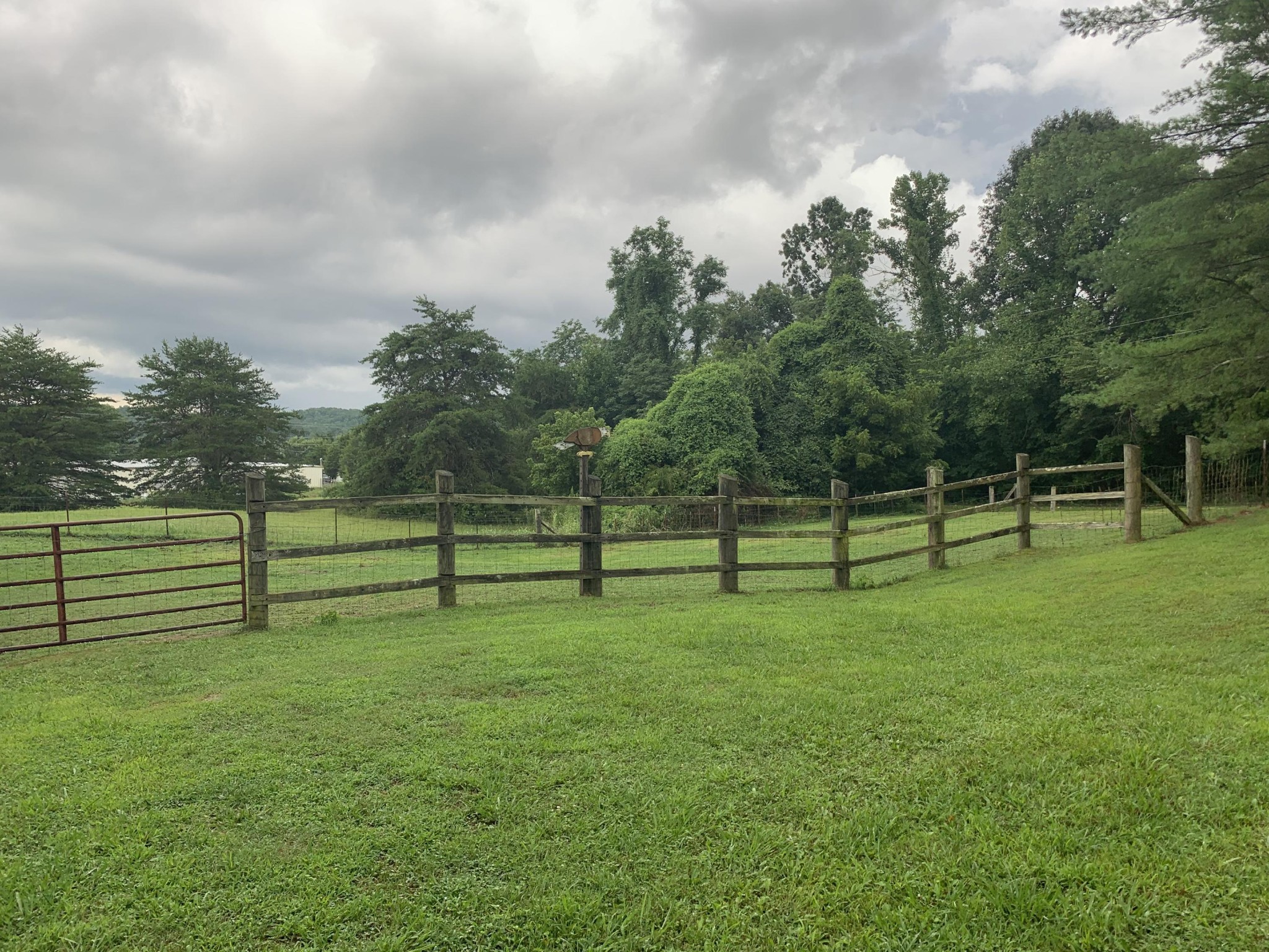 10017 Rutledge Pike Corryton, TN 37721 - Photo 33 of 38