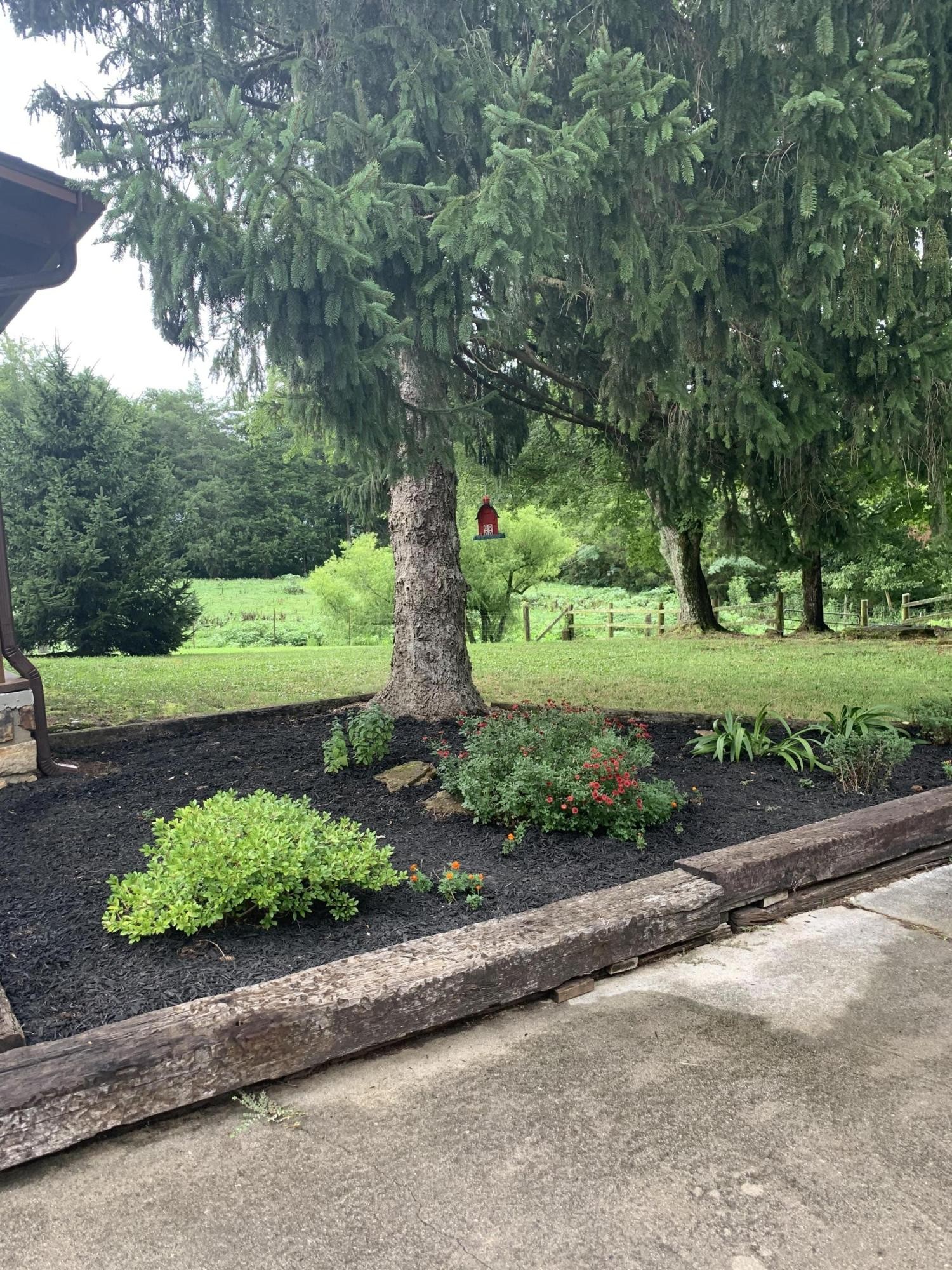 10017 Rutledge Pike Corryton, TN 37721 - Photo 36 of 38 a view of a garden with a lot of flower plants and wooden fence