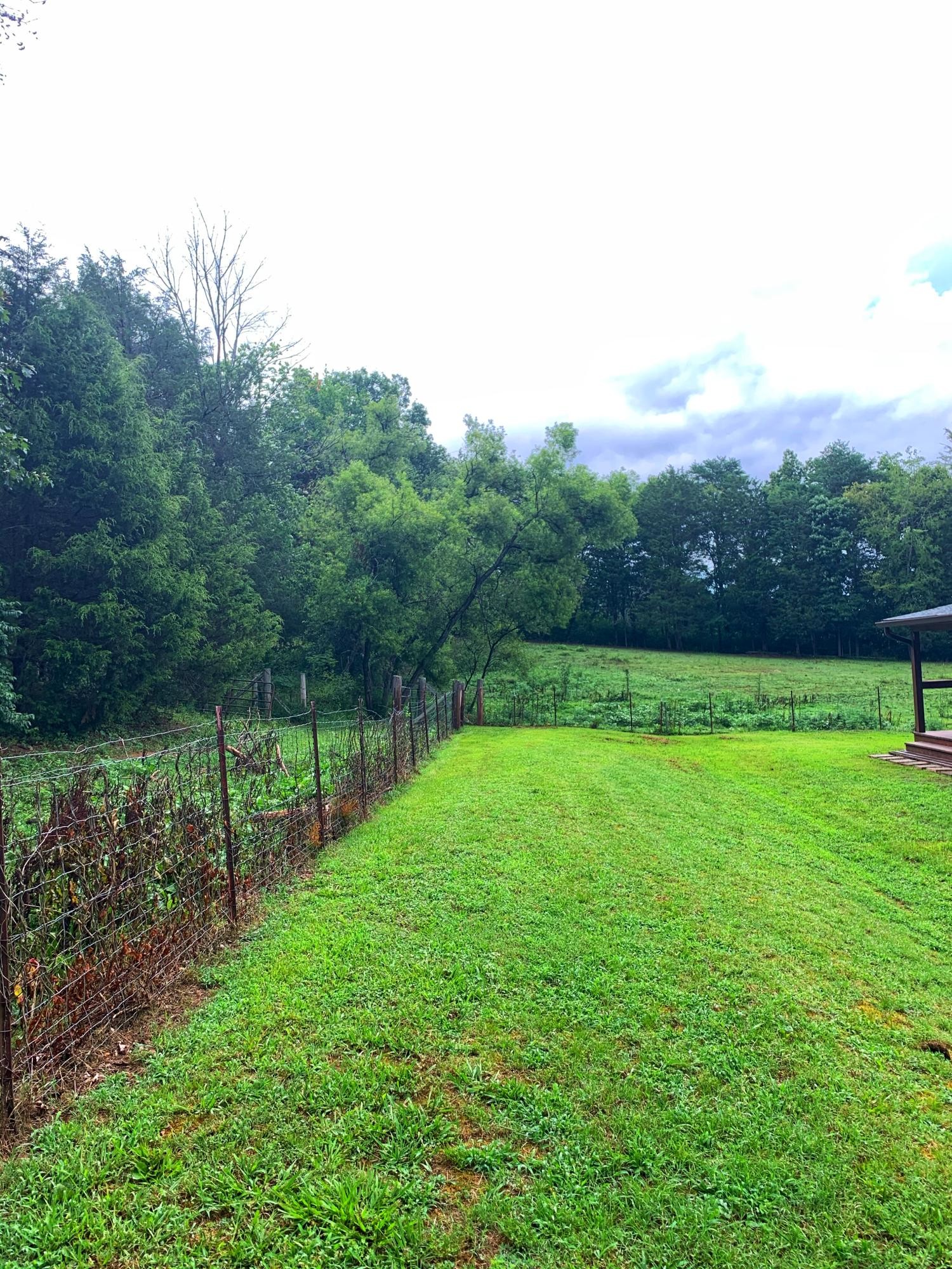 10017 Rutledge Pike Corryton, TN 37721 - Photo 38 of 38 a view of an outdoor space and a yard