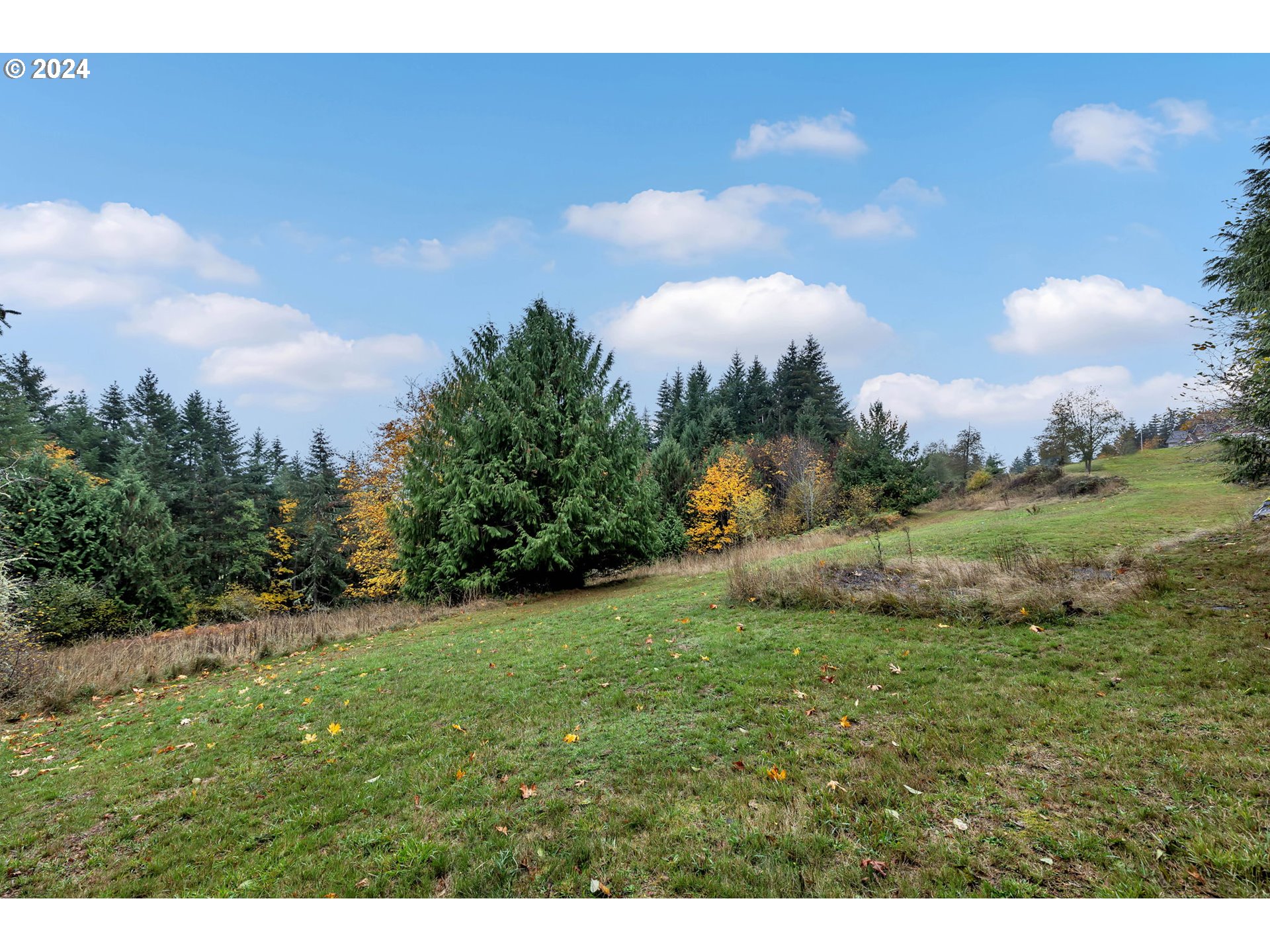 206 Martin Road Silverlake, WA 98645 - Photo 34 of 43 Gallery Image 34